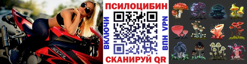 кракен онион  Тулун  Галлюциногенные грибы Cubensis 